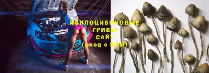 Псилоцибиновые грибы Magic Shrooms  Дюртюли 